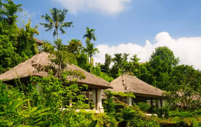 Villa in Bali surrounded by palm trees
