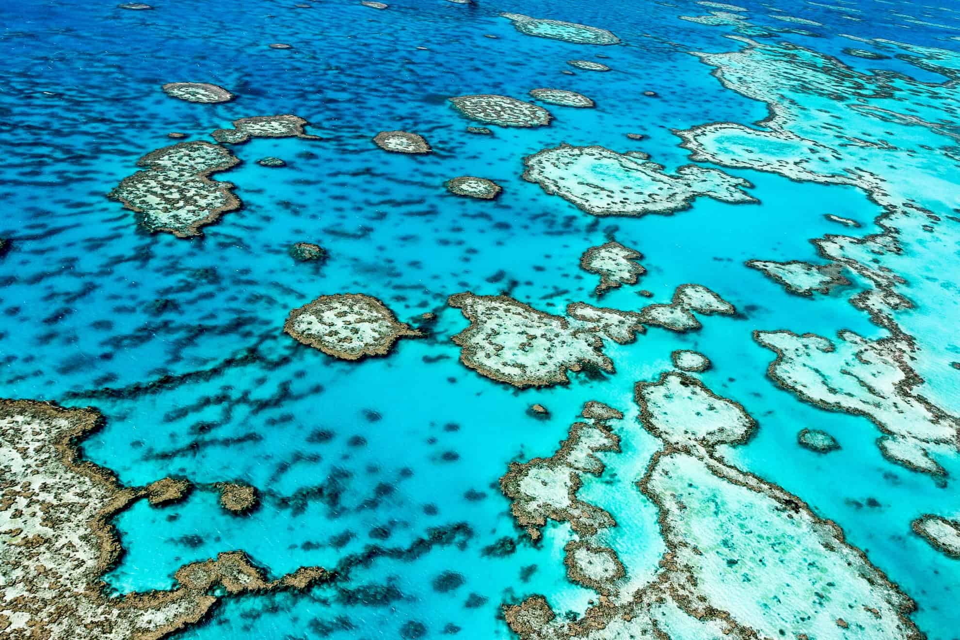 reef from up high